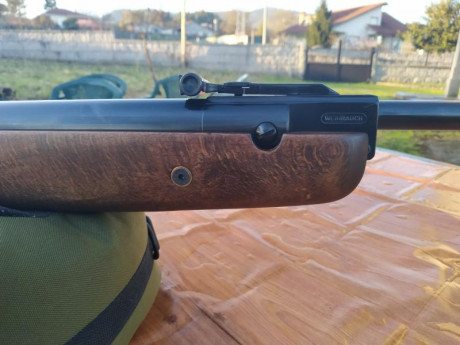 Hola, vendo o cambio por la diana 350 Magnum en calibre 5.5 ajustando la diferencia por mi parte , esta 10