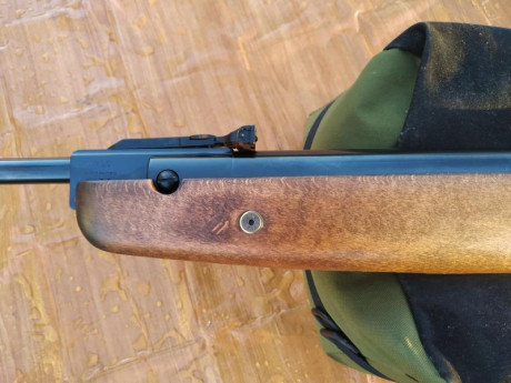 Hola, vendo o cambio por la diana 350 Magnum en calibre 5.5 ajustando la diferencia por mi parte , esta 21