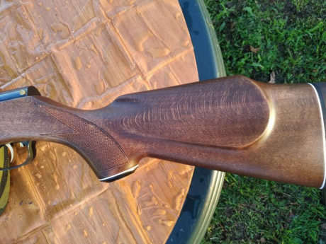 Hola, vendo o cambio por la diana 350 Magnum en calibre 5.5 ajustando la diferencia por mi parte , esta 20