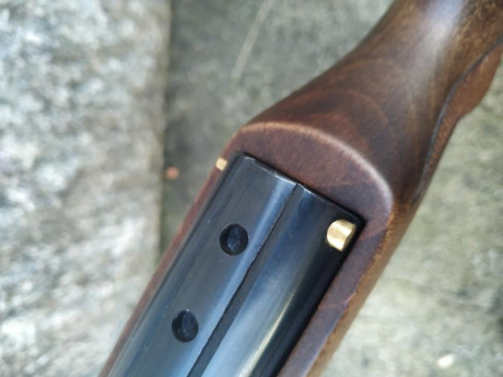 Hola, vendo o cambio por la diana 350 Magnum en calibre 5.5 ajustando la diferencia por mi parte , esta 30