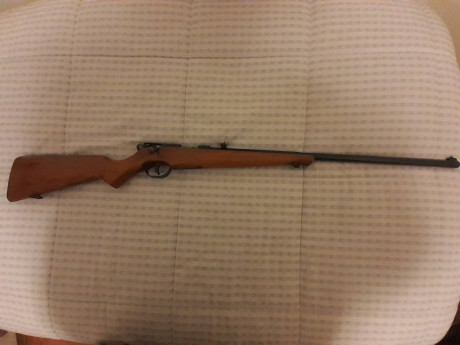 Vendo Carabina de cerrojo, marca SB-66, calibre 22 lr, monotiro.
Especial e ideal para iniciarse en el 00