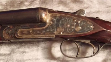 Un amigo deja la caza y vende esta arma.

Escopeta Paralela AYA,  modelo: 116, calibre 12 pletinas largas, 12