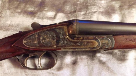 Un amigo deja la caza y vende esta arma.

Escopeta Paralela AYA,  modelo: 116, calibre 12 pletinas largas, 11