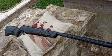 Vendo esta gamo.
 
Calibre 4,5mm
Su estado es impecable.
60e recogida en mano en Galicia centro.
8e mas 10