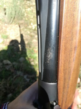 Saludos
Después de mucho tiempo he decidido adquirir un semiautomático de caza, en concreto un Winchester 20