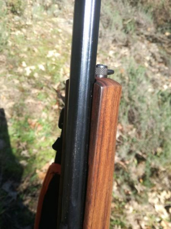 Saludos
Después de mucho tiempo he decidido adquirir un semiautomático de caza, en concreto un Winchester 30