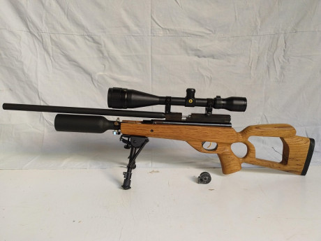 Pongo a la venta esta QB79 PCP 5.5
Breech multitiro fabricado exproceso para ella. Con cargador Marauder.
Cañón 02