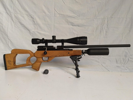 Pongo a la venta esta QB79 PCP 5.5
Breech multitiro fabricado exproceso para ella. Con cargador Marauder.
Cañón 01