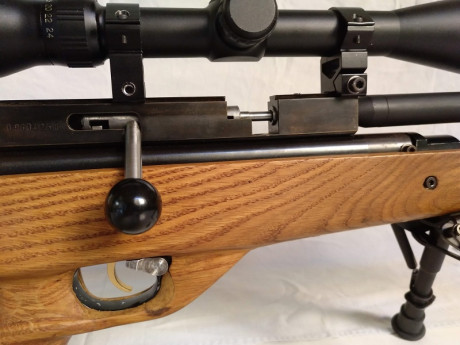 Pongo a la venta esta QB79 PCP 5.5
Breech multitiro fabricado exproceso para ella. Con cargador Marauder.
Cañón 11