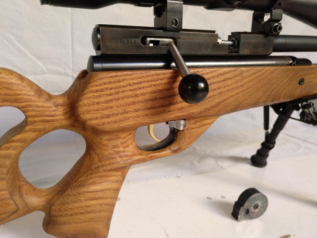 Pongo a la venta esta QB79 PCP 5.5
Breech multitiro fabricado exproceso para ella. Con cargador Marauder.
Cañón 10