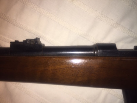 RESERVADA
Vendo Carabina Destroyer calibre 9 mm Parabellum, con su cargador original para 6 disparos.
Guiada 02