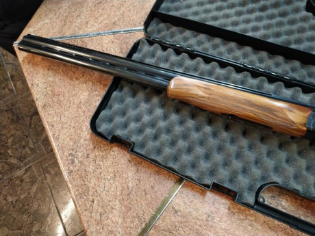 Estoy pensando en comprar una escopeta nueva tiro codorniz, pichón y algo de plato en foso, rrcc, compack... 81