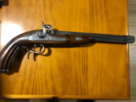 Buenas tardes:
                       Vendo pistola de avancarga ARSA CAL.45 Guiada en AE. La pistola 02