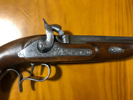 Buenas tardes:
                       Vendo pistola de avancarga ARSA CAL.45 Guiada en AE. La pistola 00