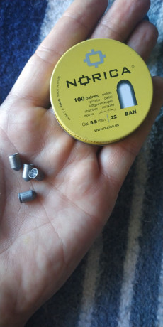 Se que es la pregunta del siglo, pero tengo mis dudas.
El tema es que me he comprado una carabina pcp 20