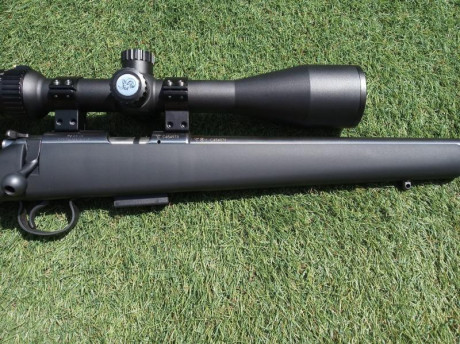 Hola 
Vendo esta carabina, con monturas fijas y visor de 3-18x50 RI, con portacorreas y correa de neopreno.
Todo 00