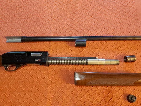 Hola. Vendo esta escopeta calibre 12.
69 cm de cañon con punto de mira de fibra roja
Polichokes internos 21