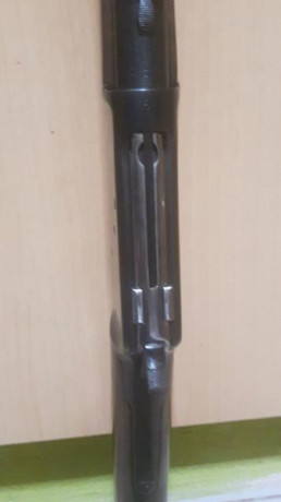 Vendo carabina Tigre 44-40,es la corta una copia de wincheste, la vendo por no usarla esta muy bien de 01