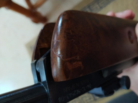 Hola, cambio la culata de mi gamo Hunter wt(pocas unidades hay)por otra  culata de gamo Hunter el modelo 00