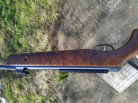 Hola, cambio la culata de mi gamo Hunter wt(pocas unidades hay)por otra  culata de gamo Hunter el modelo 12