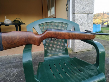Hola, cambio la culata de mi gamo Hunter wt(pocas unidades hay)por otra  culata de gamo Hunter el modelo 10