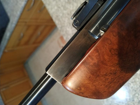 Hola, cambio la culata de mi gamo Hunter wt(pocas unidades hay)por otra  culata de gamo Hunter el modelo 22