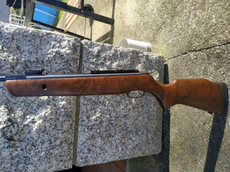 Hola, cambio la culata de mi gamo Hunter wt(pocas unidades hay)por otra  culata de gamo Hunter el modelo 21