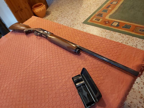 Hola. Cambio esta escopeta calibre 12. Marca Lanber
69 cm de cañon con punto de mira de fibra roja
Polichokes 00