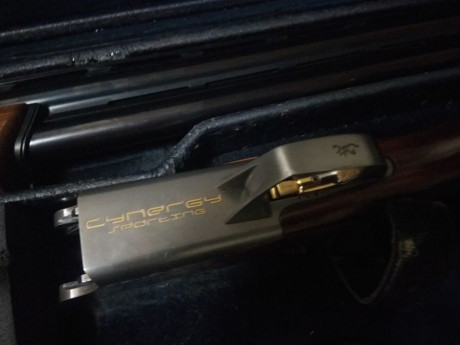 Vendo BROWNING CYNERGY SPORTING. (71 cm, 73 con choques)

Culata regulable

4 choques exteriores DYAMOND 12
