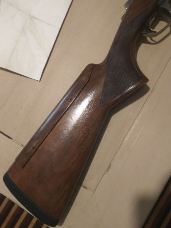 Vendo BROWNING CYNERGY SPORTING. (71 cm, 73 con choques)

Culata regulable

4 choques exteriores DYAMOND 10