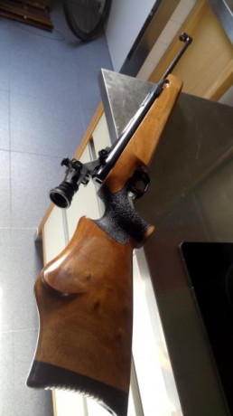 Hola, vendo este ejemplar de fwb 150 versión tyrolesa, el funcionamiento es impecable , la culata fue 11