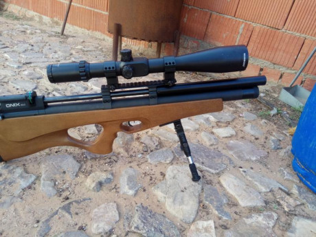 Hola , pues soy el feliz propietario de esta carabina . 
Empecé con ella con mucha ilusión pero me costó 70