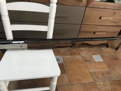 Escopeta semiautomática de caza con polichoques de 2,3,4 y 5 estrellas.
Precio 450€ 
Contacto whatsapp: 00