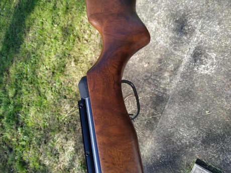 Hola, vendo gamo Hunter 440 en calibre 6.35 en buen estado en general o cambio por norica storm 5.5 o 01