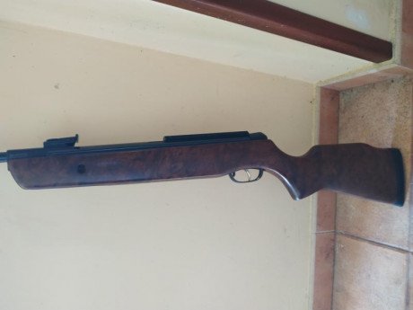 Hola, vendo gamo Hunter 440 en calibre 6.35 en buen estado en general o cambio por norica storm 5.5 o 12