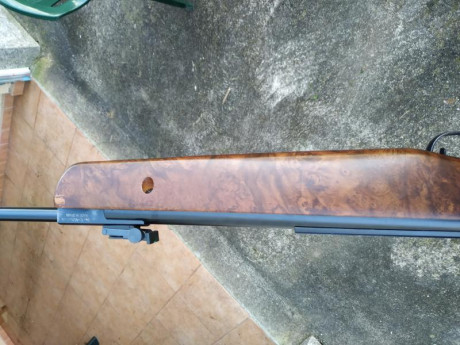 Hola, vendo gamo Hunter 440 en calibre 6.35 en buen estado en general o cambio por norica storm 5.5 o 22