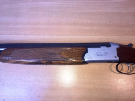  Vendo estas dos armas, Rifle y Escopeta 

1)-RESERVADO EL RIFLE-	 Rifle Tigre cal: 44-40 , en perfecto 41