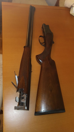 hola un amigo vende un rifle express browning ccs25 calibre 9,3x74r cañones de 65cms de largo y culata 02