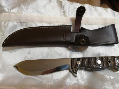 Buenas tardes
Cambio cuchillo Aitor Survival corto (filo 13cm, longitud total 25,5cm) edicion espada artesana 52