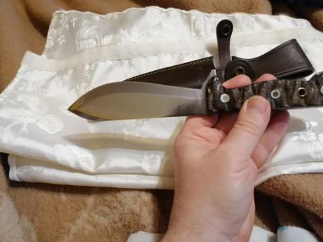 Buenas tardes
Cambio cuchillo Aitor Survival corto (filo 13cm, longitud total 25,5cm) edicion espada artesana 51