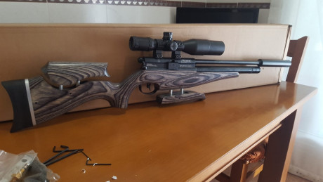 Vendo BSA Gold Star del 5.5 culata láminada sin estrenar con visor leapers 3x12x44 Acusshot compac mas 01