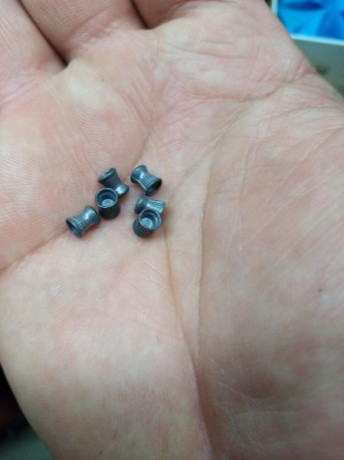 Pues con esto del confinamiento, me quedé con mucho tiempo libre, pero con mis carabinas en otra casa 60