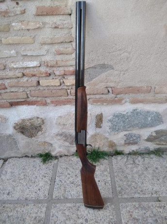 Cambio por rifle de mi interés una o ambas escopetas. Están prácticamente nuevas puesto que apenas se 02