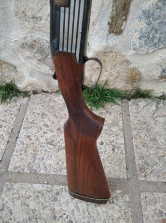 Cambio por rifle de mi interés una o ambas escopetas. Están prácticamente nuevas puesto que apenas se 01