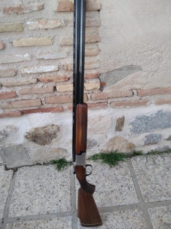 Cambio por rifle de mi interés una o ambas escopetas. Están prácticamente nuevas puesto que apenas se 00