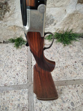 Cambio por rifle de mi interés una o ambas escopetas. Están prácticamente nuevas puesto que apenas se 10