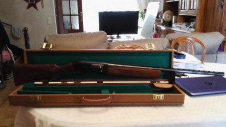 Hola.. un amigo vende una superpusta investarms calibre 410, en perfecto estado de uso y conservación 22