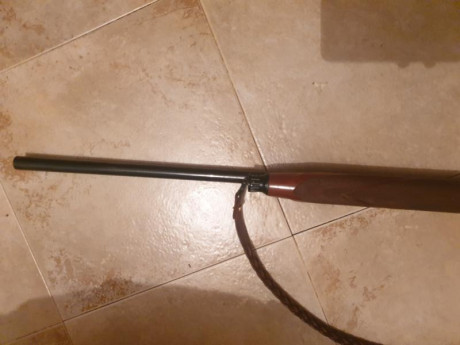 Vendo Benelli Belmonte II calibre 12 en muy buen estado,  con todos sus accesorios ( maletín,  chokes, 00