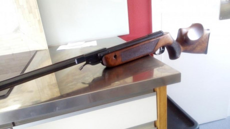 Hola, saco este ejemplar de walther versión tyro de la mítica lgv spz, con un funcionamiento magnífico. 01