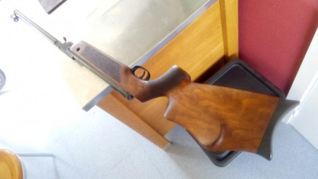 Hola, saco este ejemplar de walther versión tyro de la mítica lgv spz, con un funcionamiento magnífico. 00